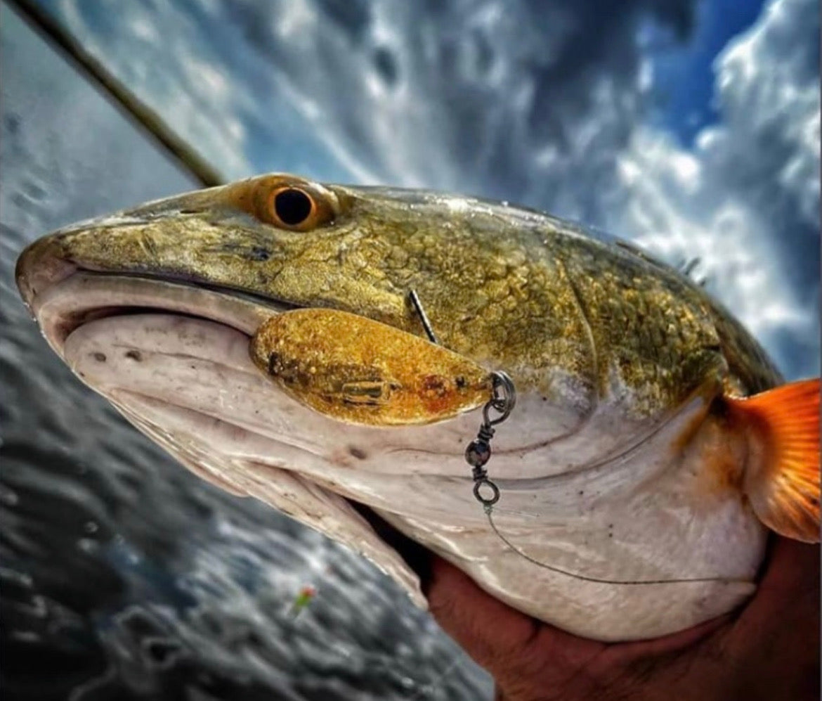3/4oz Loaded Nachos – Nacho Daddys Lures